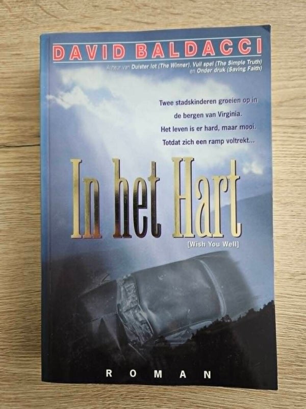 David Baldacci - In het hart