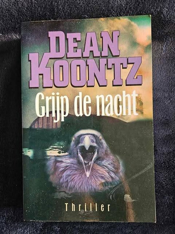 Dean R. Koontz - Grijp de nacht