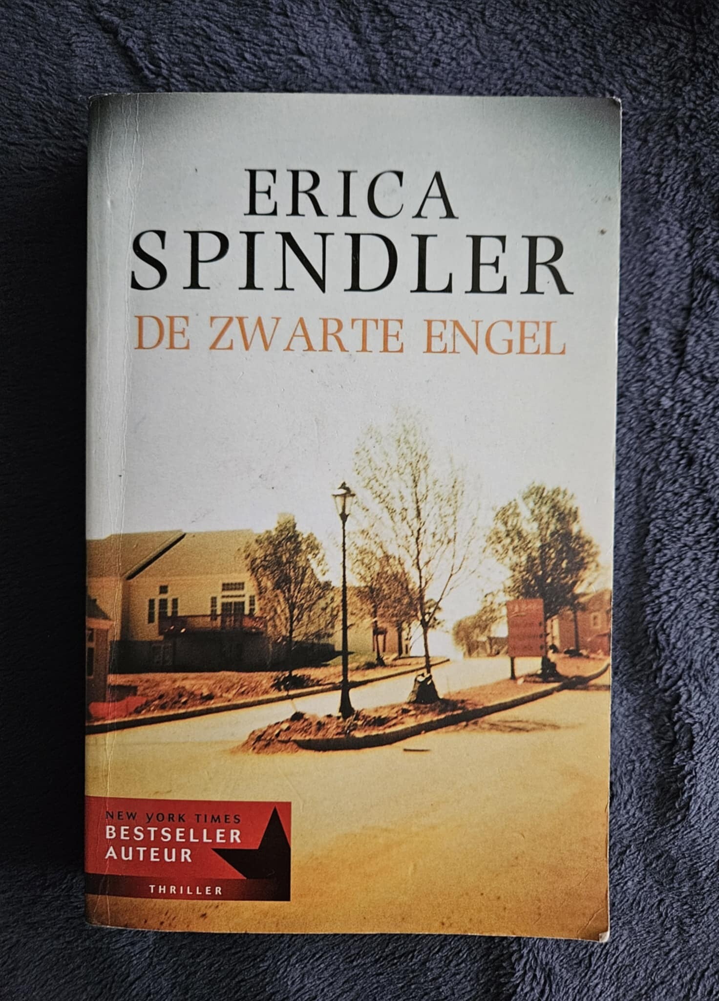Erica Spindler - De zwarte engel