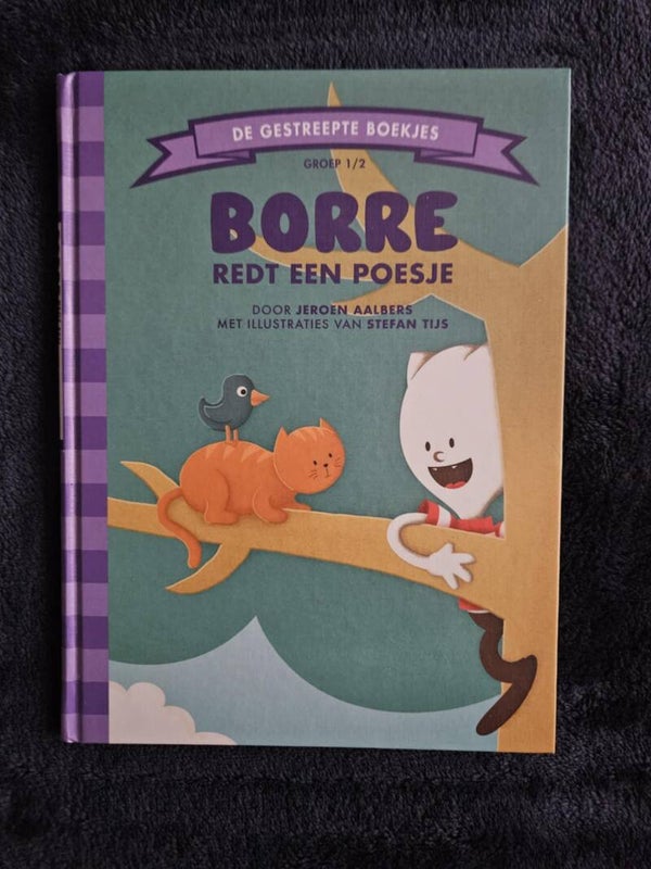 Jeroen Aalbers - Borre redt een poesje