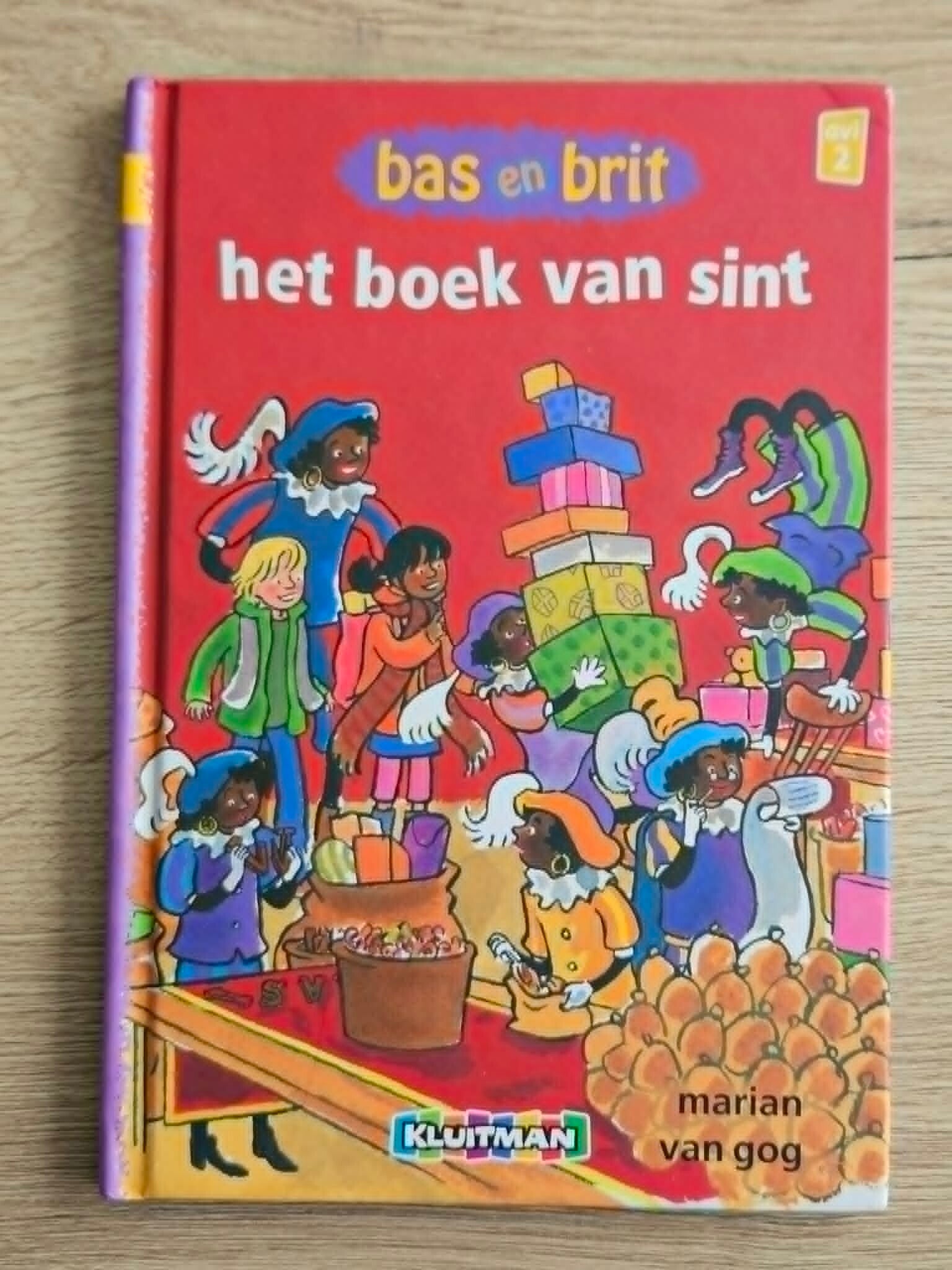 Marian van Gog - Het boek van Sint