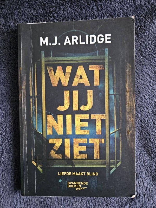 M.J. Arlidge - Wat jij niet ziet
