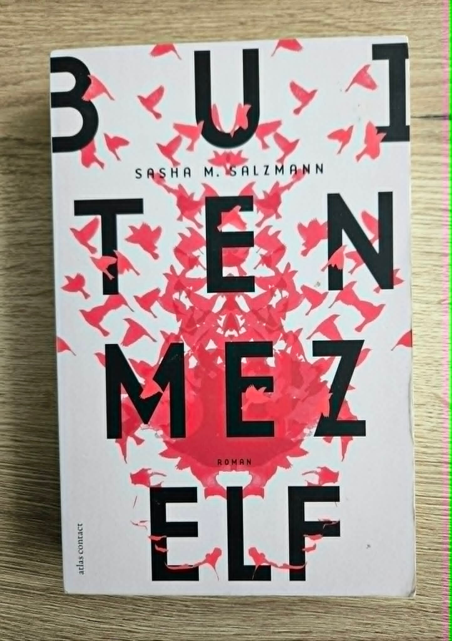 Sasha Marianna Salzmann - Buiten mezelf