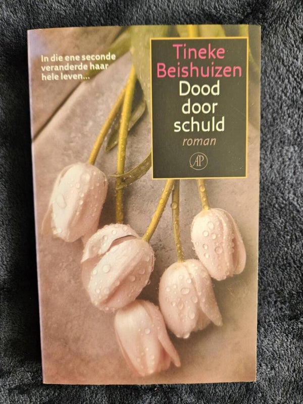 Tineke Beishuizen - Dood door schuld