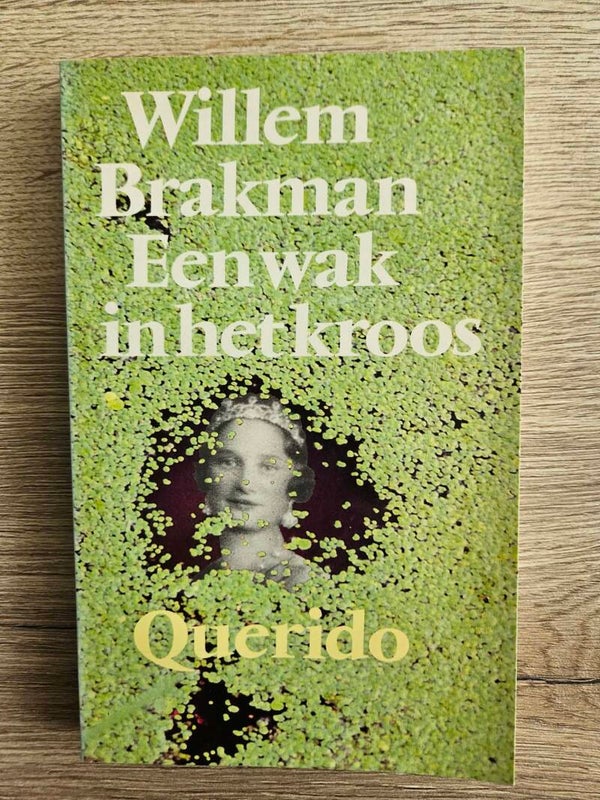 Willem Brakman - Een wak in het kroos