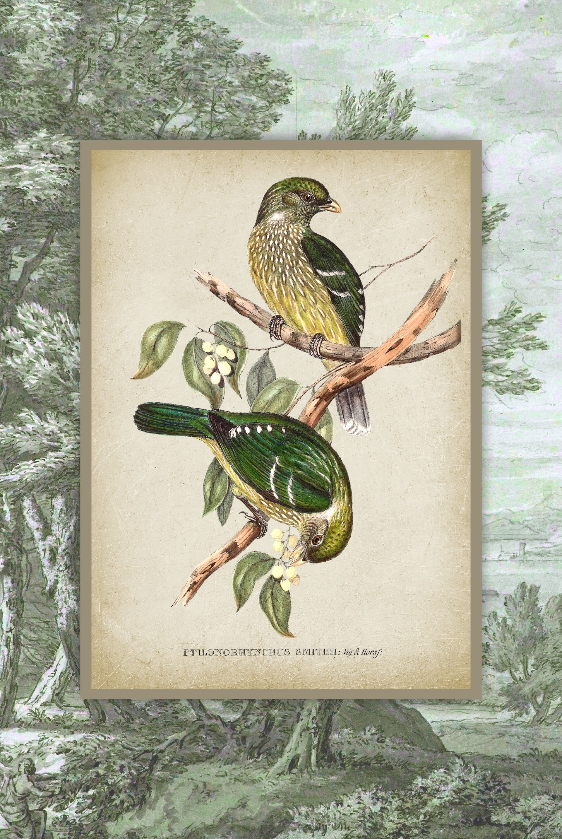 Vintage Green Bird on Landscape