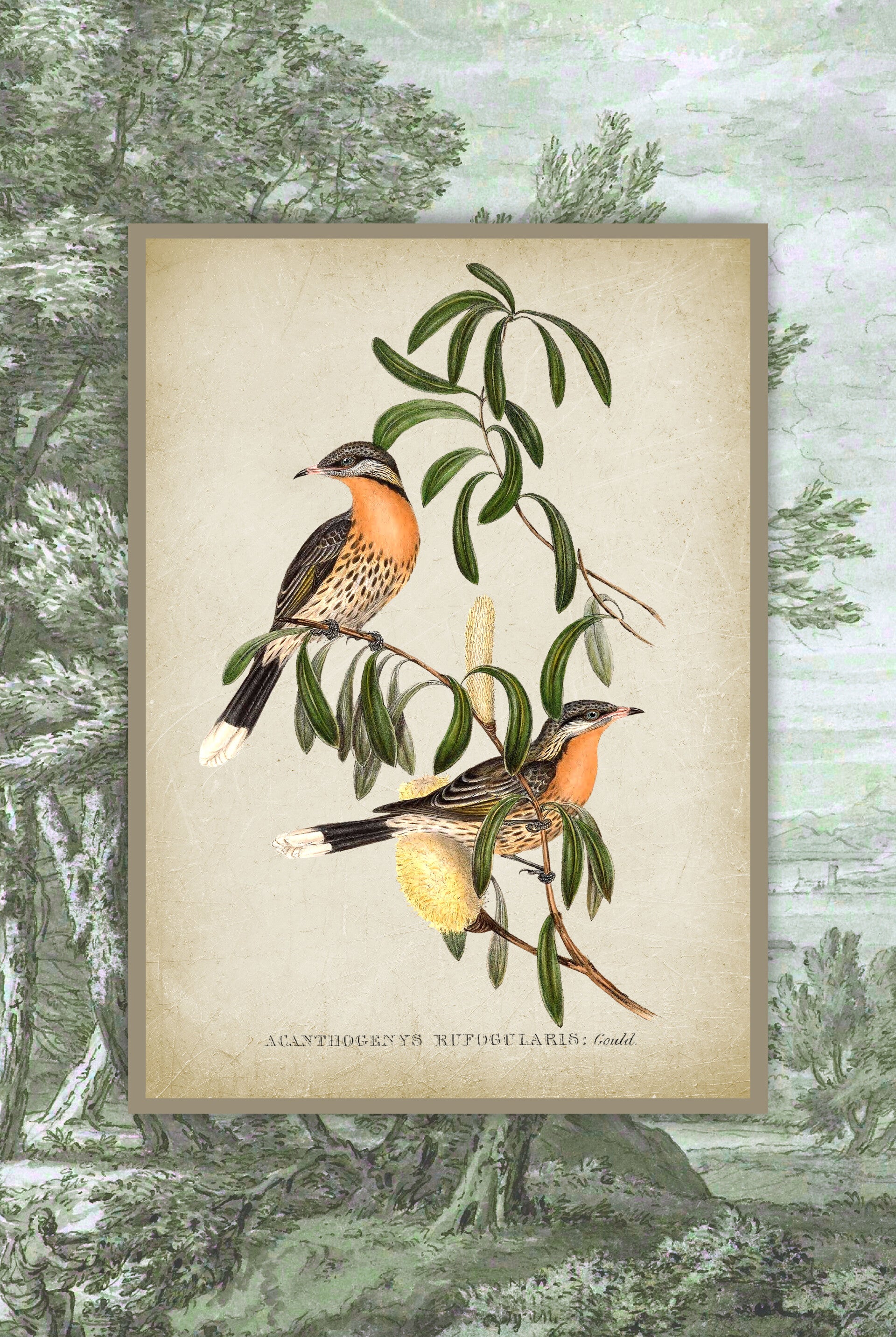 Vintage Peach Birds on Landscape