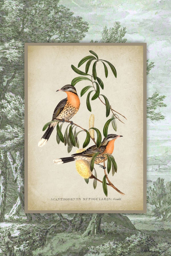 Vintage Peach Birds on Landscape
