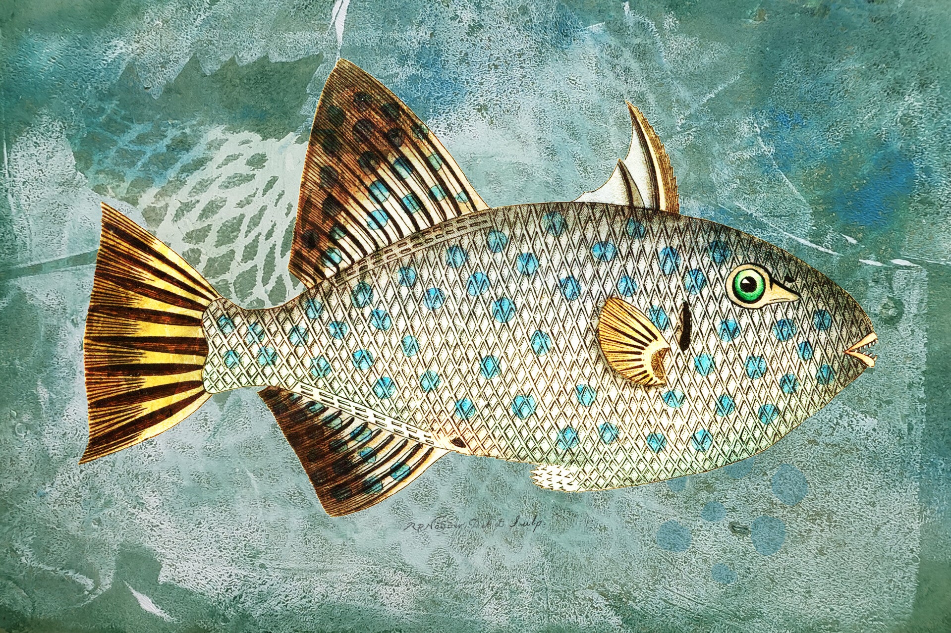 Blue Green Spot Fish
