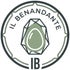 Il Benandante - Pulizia energetica - esoterismo