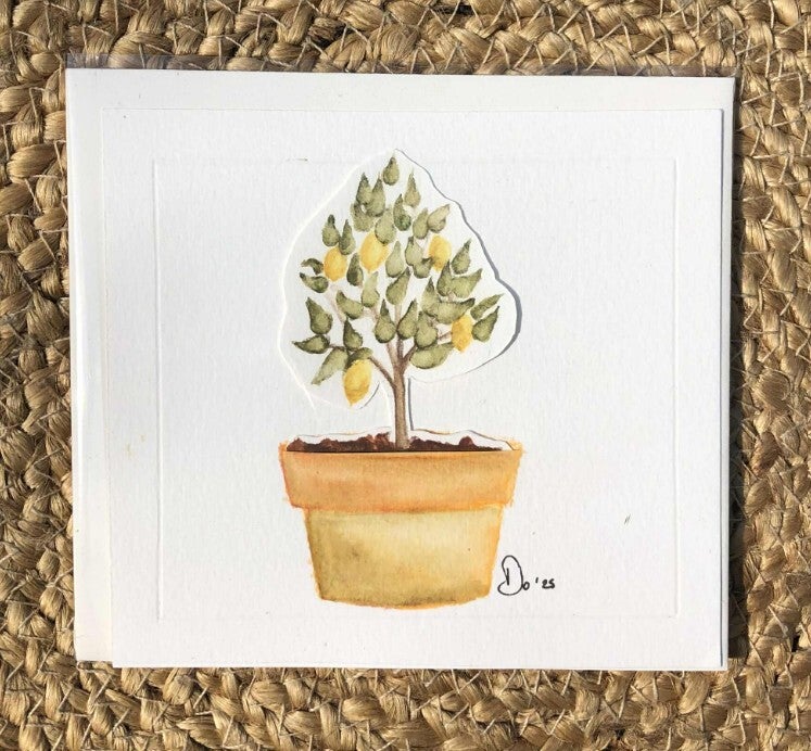 Le citronnier à secrets