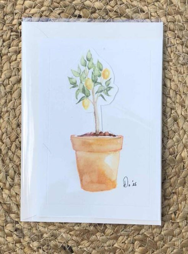 Le citronnier à secrets