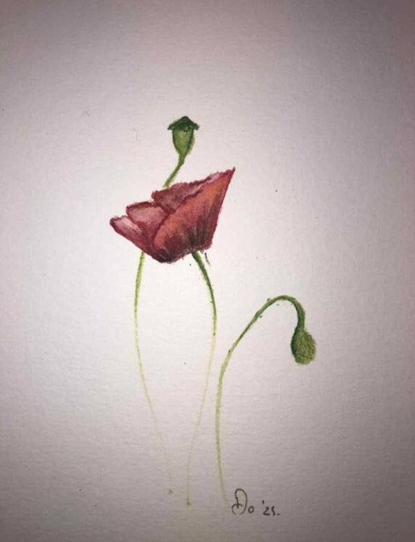 Handgeschilderde kaart - papaver - coquelicot