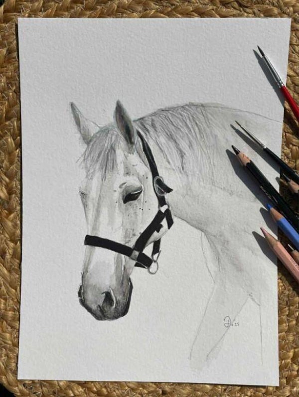 Witte hengst