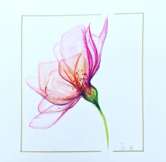 La fragilité de la vie, capturée dans une fleur - Ines