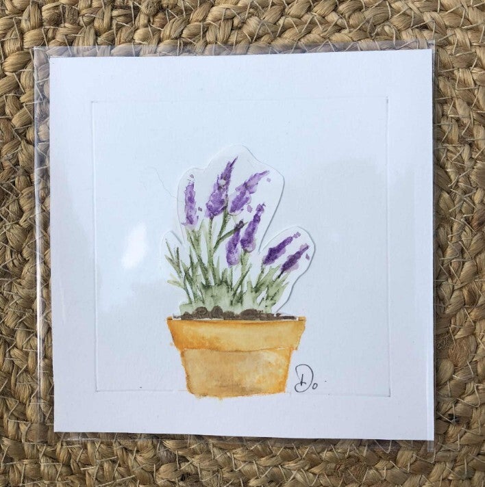 La lavande à secrets