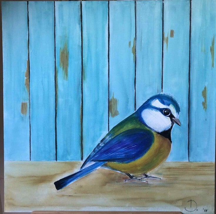 Pimpelmees - Mésange