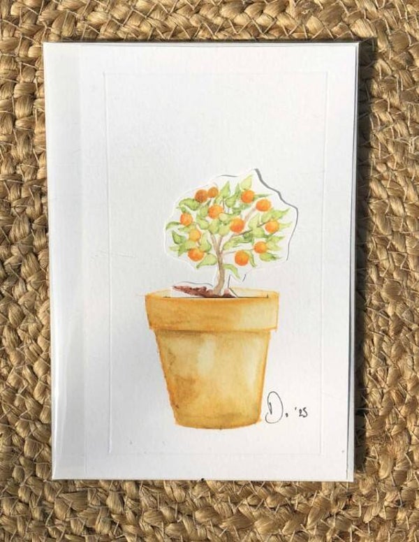 Le mandarinier 🍊 à secrets