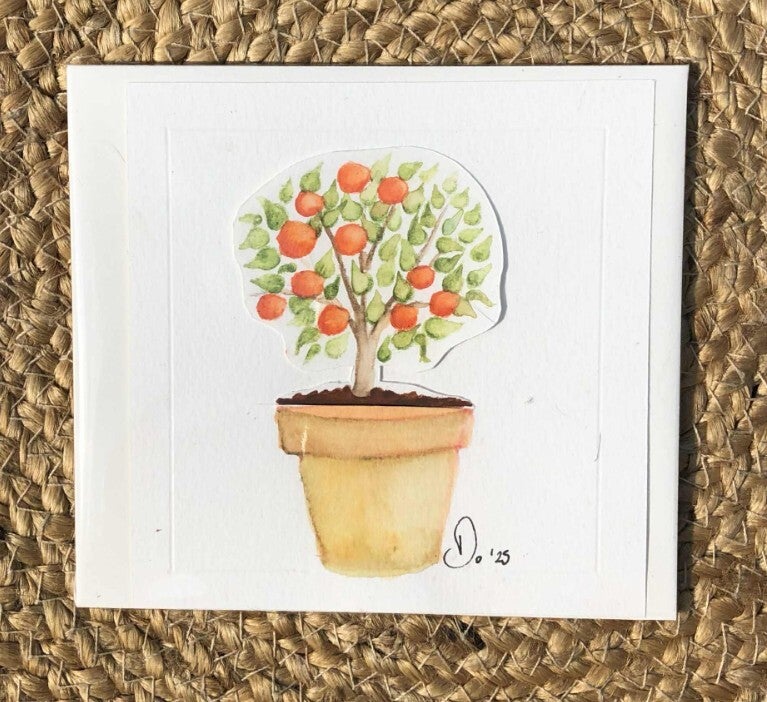 Le mandarinier 🍊 à secrets