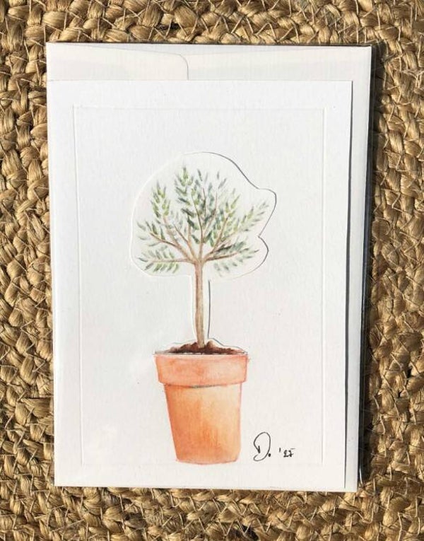 L' olivier à secrets