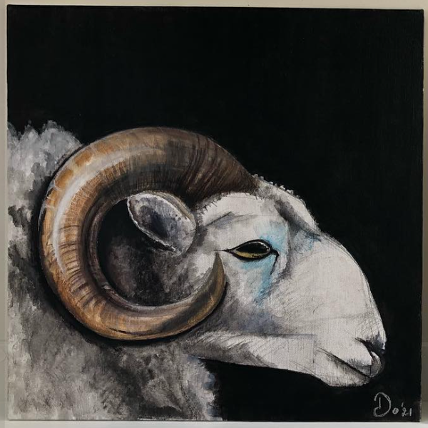 Sheepbuck - schilderij