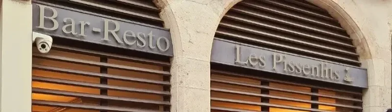 Logo restaurant PISSENLITS PAR LA RACINE du site Sortir a Orleans