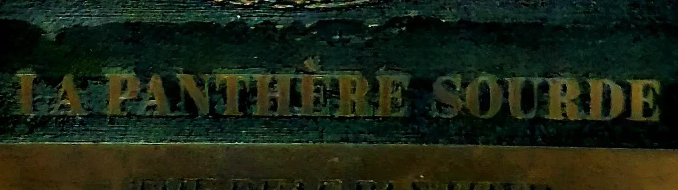 Logo bar La Panthère Sourde du site Sortir a Orleans 