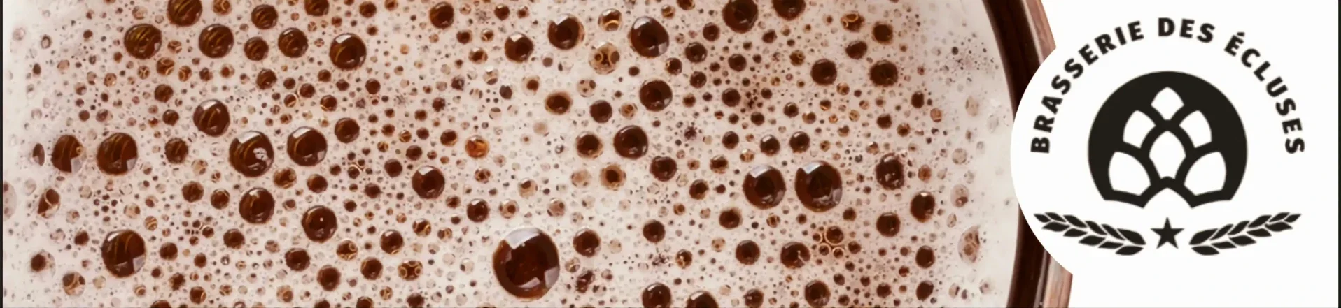 Logo Brasserie des Ecluses du site Sortir a Orleans 