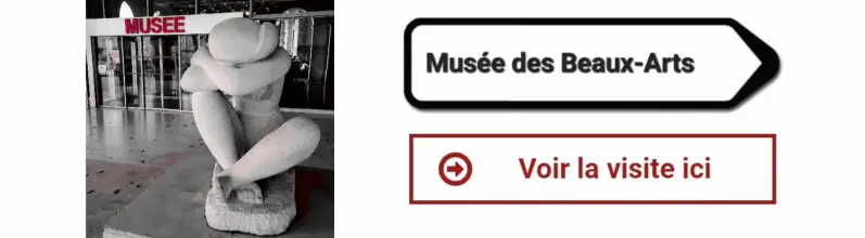 Logo panneau musé des beaux-arts _ Loiret _ sur le site Sortir a Orleans !