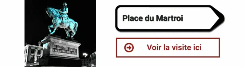 Logo panneau Place du Martroi _ Loiret _ sur le site Sortir a Orleans