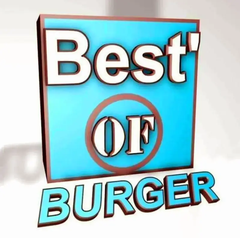 photo du restaurant Best Of Burger sur le site Sortir a Orleans