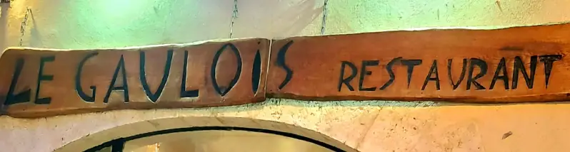 Logo restaurant LE Gaulois du site Sortir a Orleans