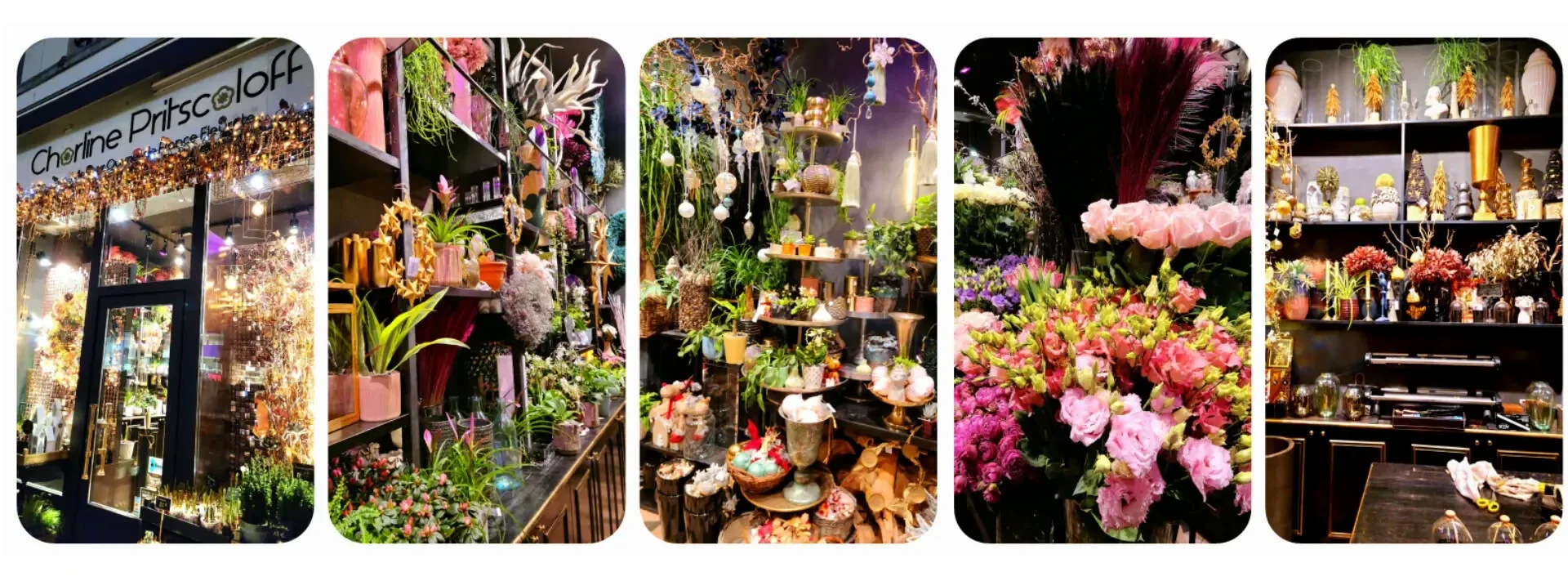 Logo Fleuriste Charline Pritscaloff du site Sortir a Orleans 