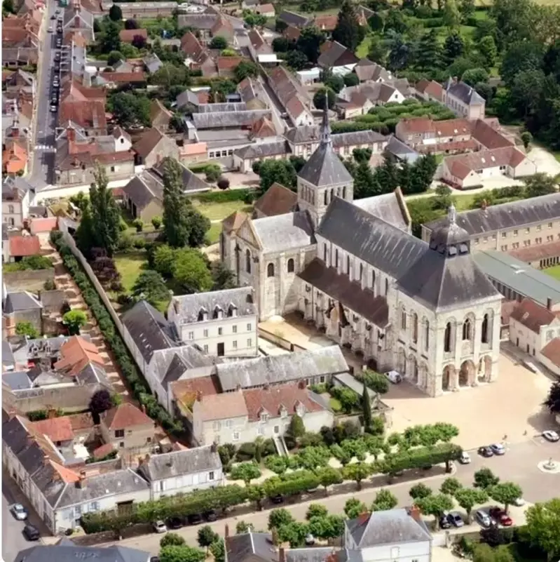 Photo de la ville de Saint Benoit sur Loire  sur le site Sortir a Orleans