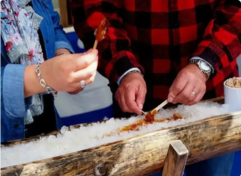 Photo du tire a l'erable sur le site Sortir a Orleans