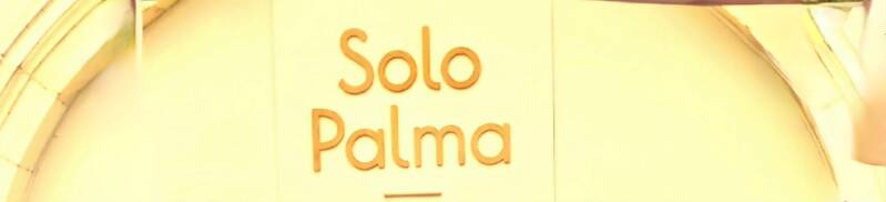 Logo coffee shop Solo Palma du site Sortir a Orleans
