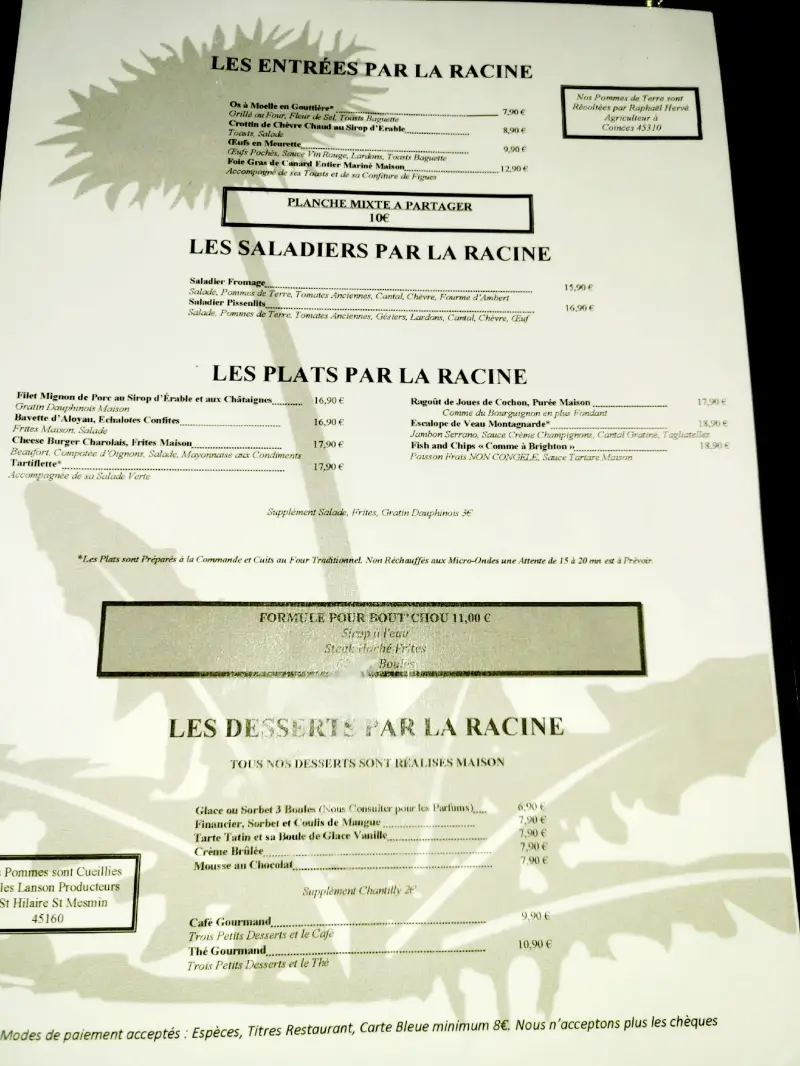 Photo du Menu du restaurant Pissenlits par la racine sur le site Sortir a Orleans 