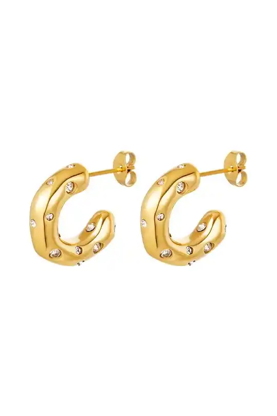 EARRINGS BOLD SPARKLE