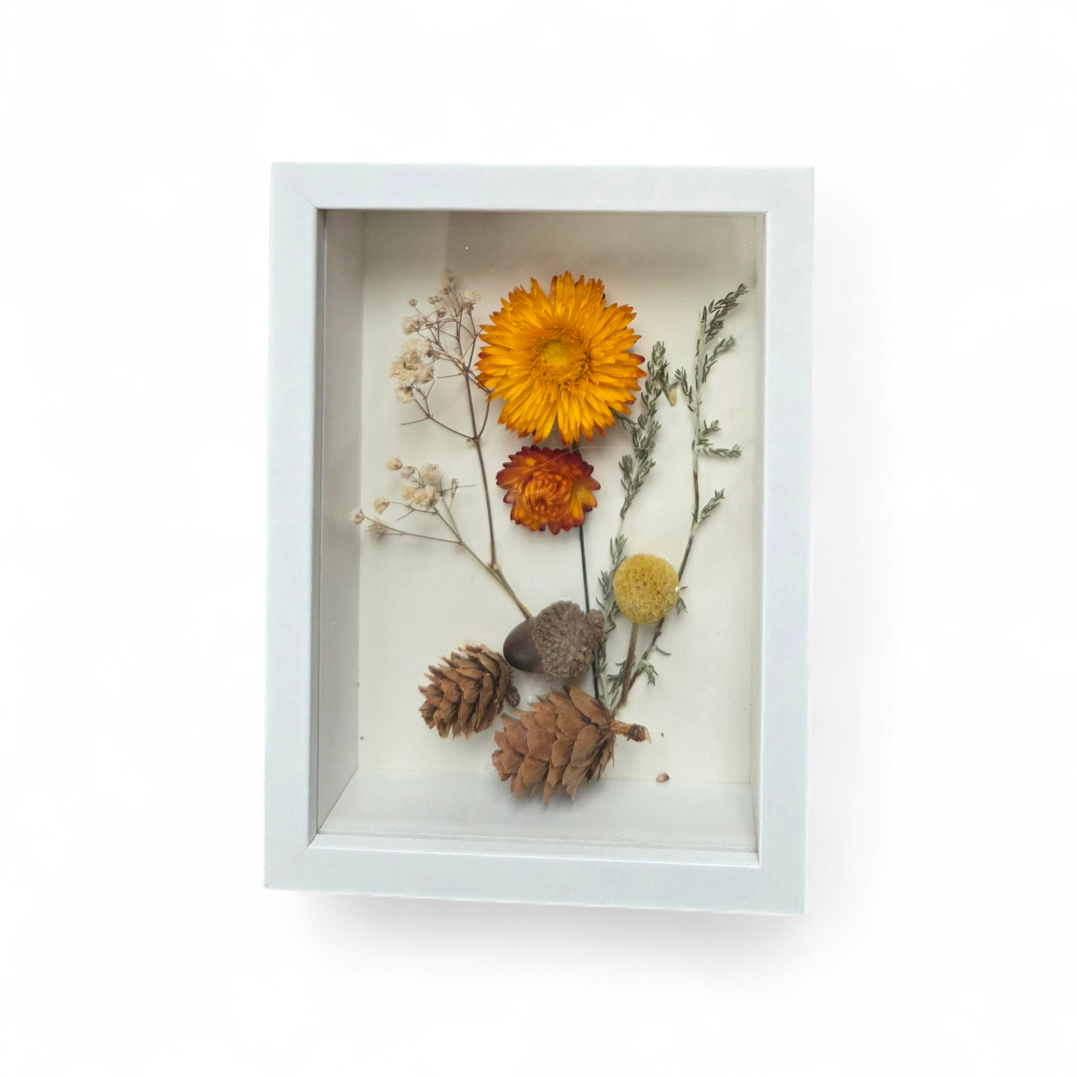 Botanical Dried Flower Shadow Frame