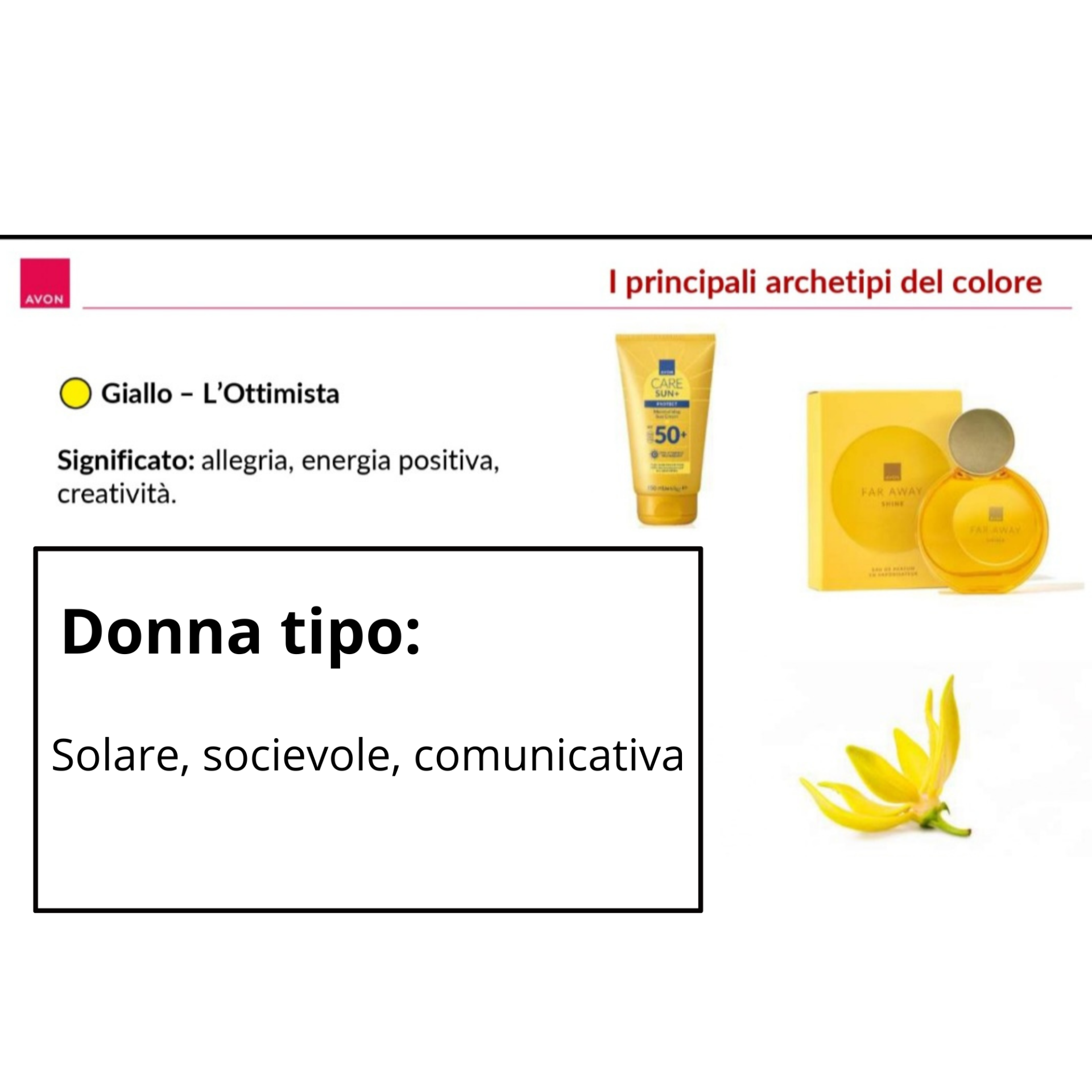 donna-tipo_20260519_111917_0000-standard.png