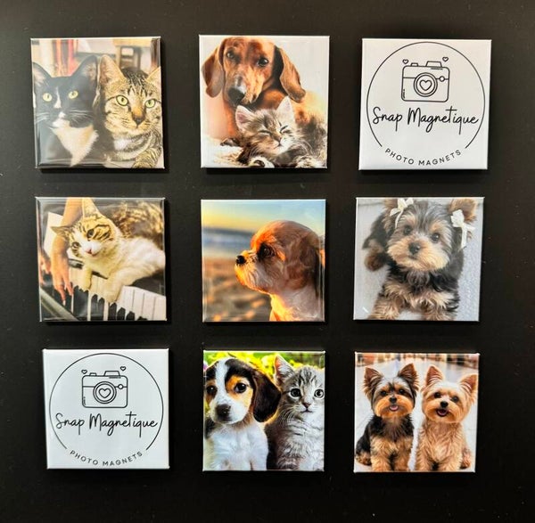 Custom Photo Magnets