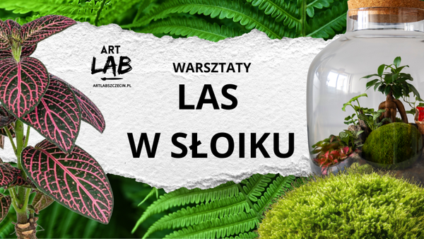 WARSZTATY TWORZENIA LASU W SŁOIKU 14/3/26 godz. 12.00 - 14.00