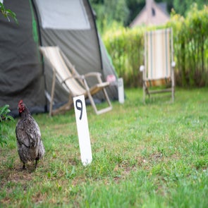 _dsc8376-standard-rubf2a.jpg