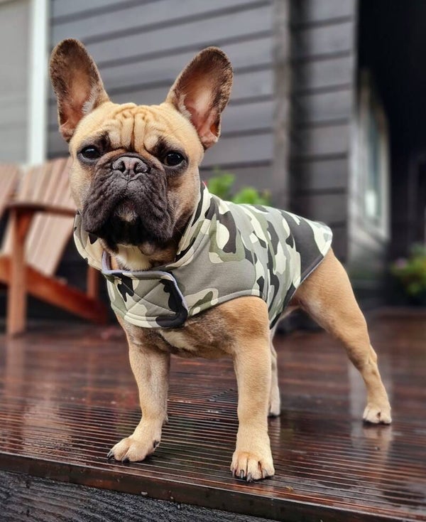 Caren B hondenjas Woof Squad