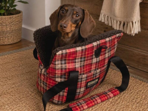 Caren B Draagtas Tartan