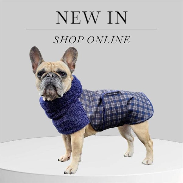 Caren B Hondenjas Classy Blue