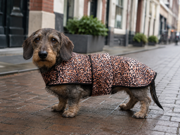Caren B teckeljas Urban Panther