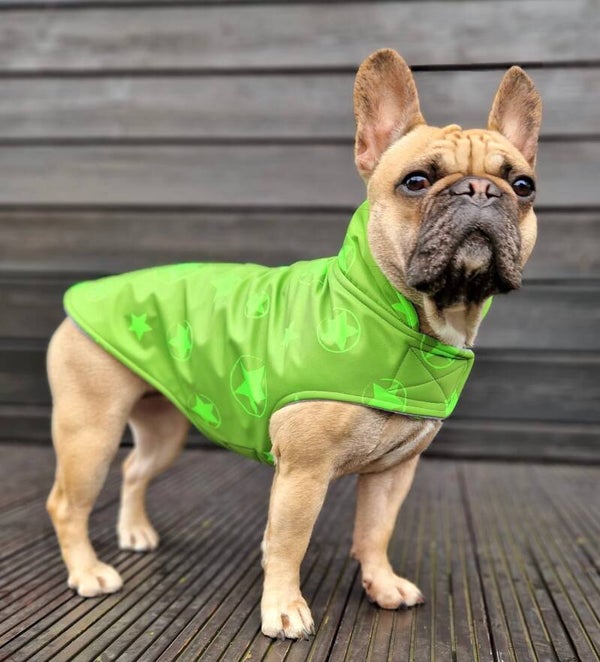 Caren B hondenjas Green Maxim