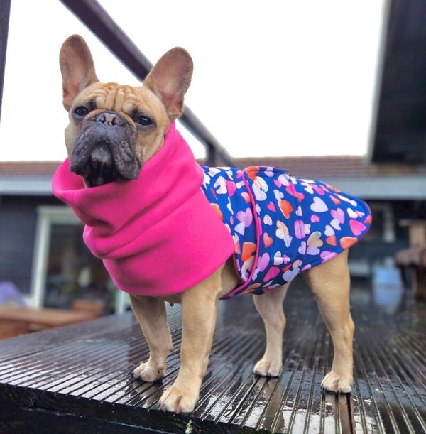 Caren B hondenjas Sweet Hearts