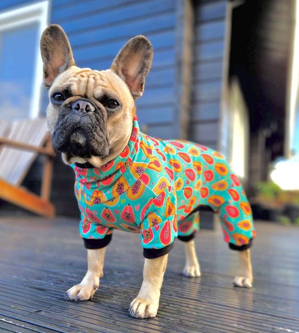 Caren B Hondenpyjama Fruity Fun